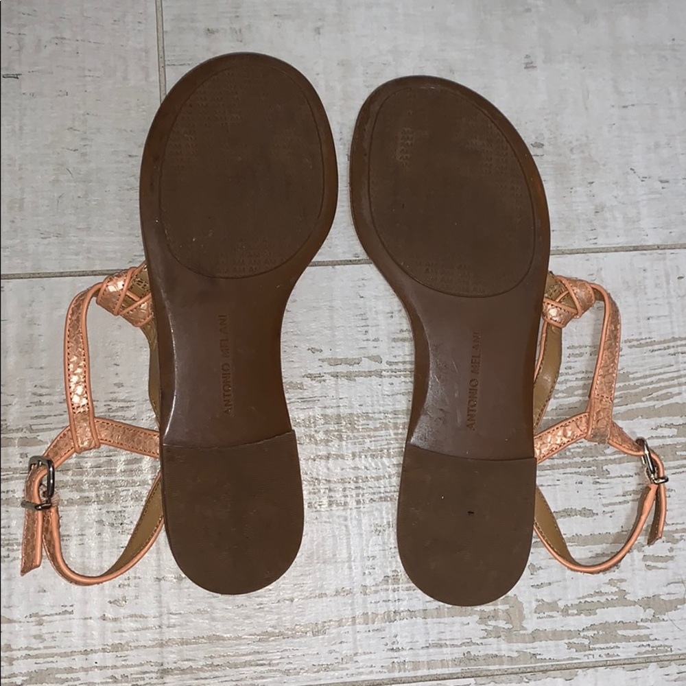 Antonio Melani Snakeskin Sandals - Picture 5 of 6